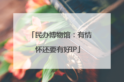 民办博物馆：有情怀还要有好IP