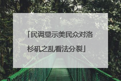 民调显示美民众对洛杉矶之乱看法分裂