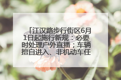 江汉路步行街区6月1日起施行新规：必要时处理户外直播；车辆擅自进入、非机动车任意停放的，依法处理