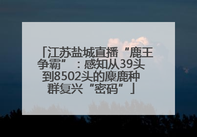 江苏盐城直播“鹿王争霸”：感知从39头到8502头的麋鹿种群复兴“密码”
