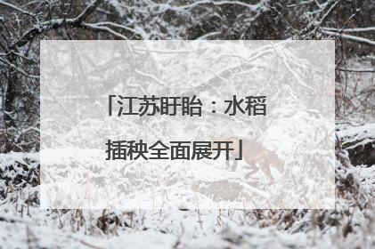江苏盱眙：水稻插秧全面展开