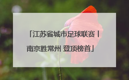 江苏省城市足球联赛丨南京胜常州 登顶榜首