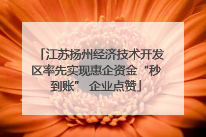 江苏扬州经济技术开发区率先实现惠企资金“秒到账” 企业点赞