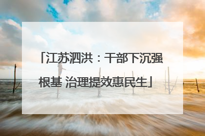 江苏泗洪：干部下沉强根基 治理提效惠民生