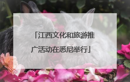江西文化和旅游推广活动在悉尼举行