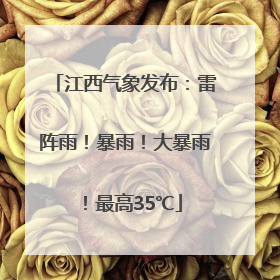 江西气象发布：雷阵雨！暴雨！大暴雨！最高35℃
