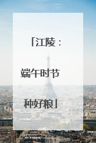 江陵：端午时节种好粮