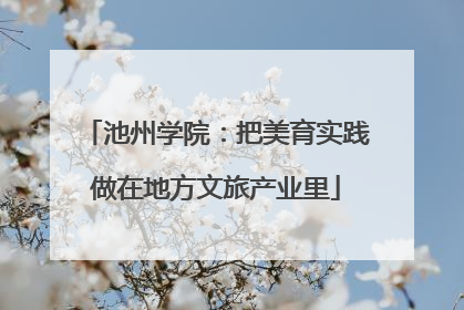池州学院：把美育实践做在地方文旅产业里