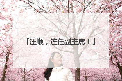 汪顺，连任副主席！