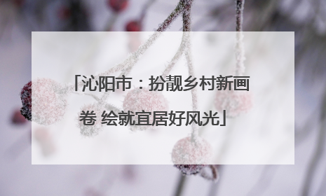 沁阳市：扮靓乡村新画卷 绘就宜居好风光