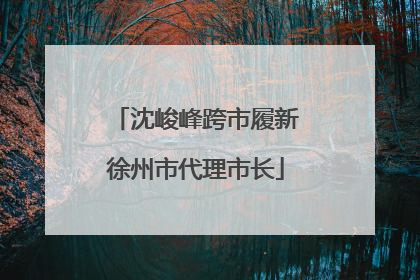 沈峻峰跨市履新徐州市代理市长