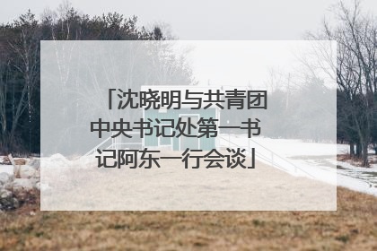 沈晓明与共青团中央书记处第一书记阿东一行会谈