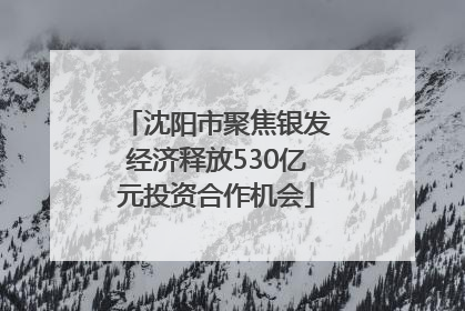 沈阳市聚焦银发经济释放530亿元投资合作机会