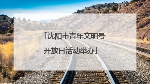 沈阳市青年文明号开放日活动举办