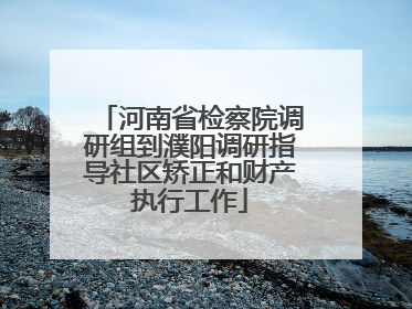 河南省检察院调研组到濮阳调研指导社区矫正和财产执行工作