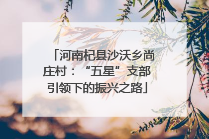 河南杞县沙沃乡尚庄村：“五星”支部引领下的振兴之路
