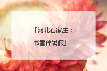 河北石家庄：书香伴暑假