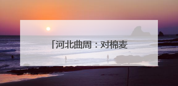 河北曲周：对棉麦间作试验田进行实打实收现场测产