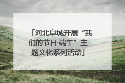 河北阜城开展“我们的节日·端午”主题文化系列活动