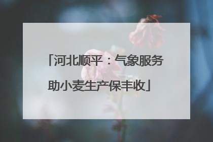 河北顺平：气象服务助小麦生产保丰收
