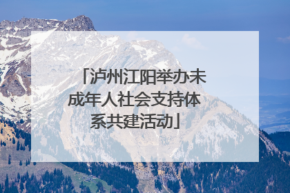 泸州江阳举办未成年人社会支持体系共建活动