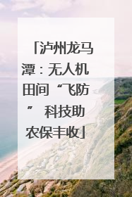 泸州龙马潭：无人机田间“飞防” 科技助农保丰收