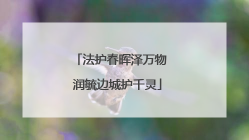 法护春晖泽万物 润毓边城护千灵