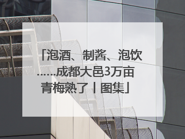 泡酒、制酱、泡饮……成都大邑3万亩青梅熟了丨图集