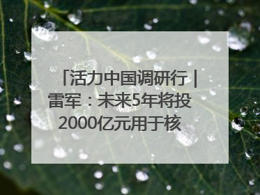 活力中国调研行｜雷军：未来5年将投2000亿元用于核心技术研发