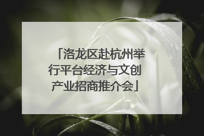 洛龙区赴杭州举行平台经济与文创产业招商推介会