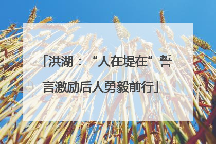 洪湖：“人在堤在”誓言激励后人勇毅前行