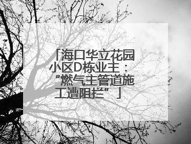 海口华立花园小区D栋业主：“燃气主管道施工遭阻拦”