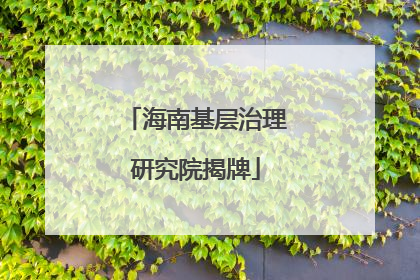 海南基层治理研究院揭牌