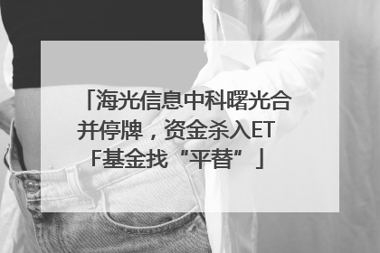 海光信息中科曙光合并停牌，资金杀入ETF基金找“平替”