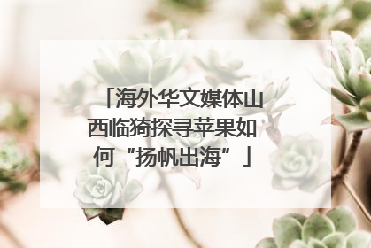 海外华文媒体山西临猗探寻苹果如何“扬帆出海”