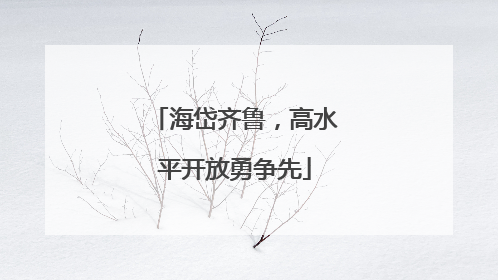 海岱齐鲁，高水平开放勇争先
