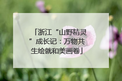 浙江“山野精灵”成长记：万物共生绘就和美画卷