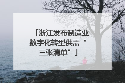 浙江发布制造业数字化转型供需“三张清单”