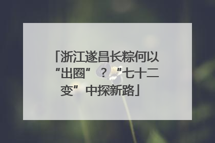 浙江遂昌长粽何以“出圈”？“七十二变”中探新路