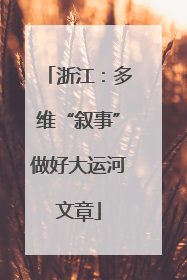 浙江：多维“叙事”做好大运河文章