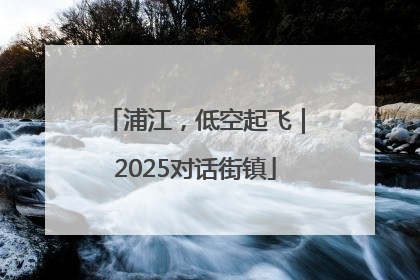 浦江，低空起飞｜2025对话街镇