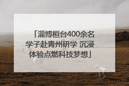淄博桓台400余名学子赴青州研学 沉浸体验点燃科技梦想