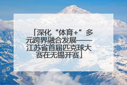 深化“体育+”多元跨界融合发展——江苏省首届匹克球大赛在无锡开赛