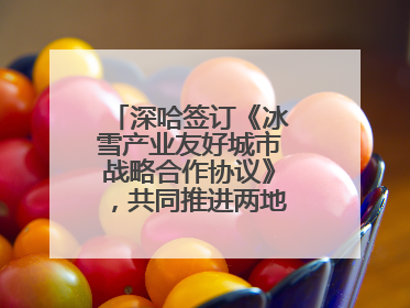 深哈签订《冰雪产业友好城市战略合作协议》，共同推进两地冰雪体育文化旅游高质量发展