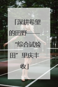 深耕希望的田野——“综合试验田”里庆丰收