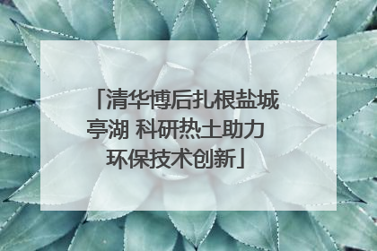 清华博后扎根盐城亭湖 科研热土助力环保技术创新