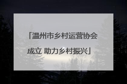 温州市乡村运营协会成立 助力乡村振兴