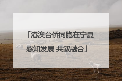 港澳台侨同胞在宁夏感知发展 共叙融合