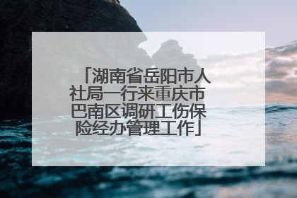 湖南省岳阳市人社局一行来重庆市巴南区调研工伤保险经办管理工作