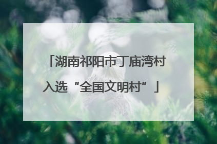 湖南祁阳市丁庙湾村入选“全国文明村”